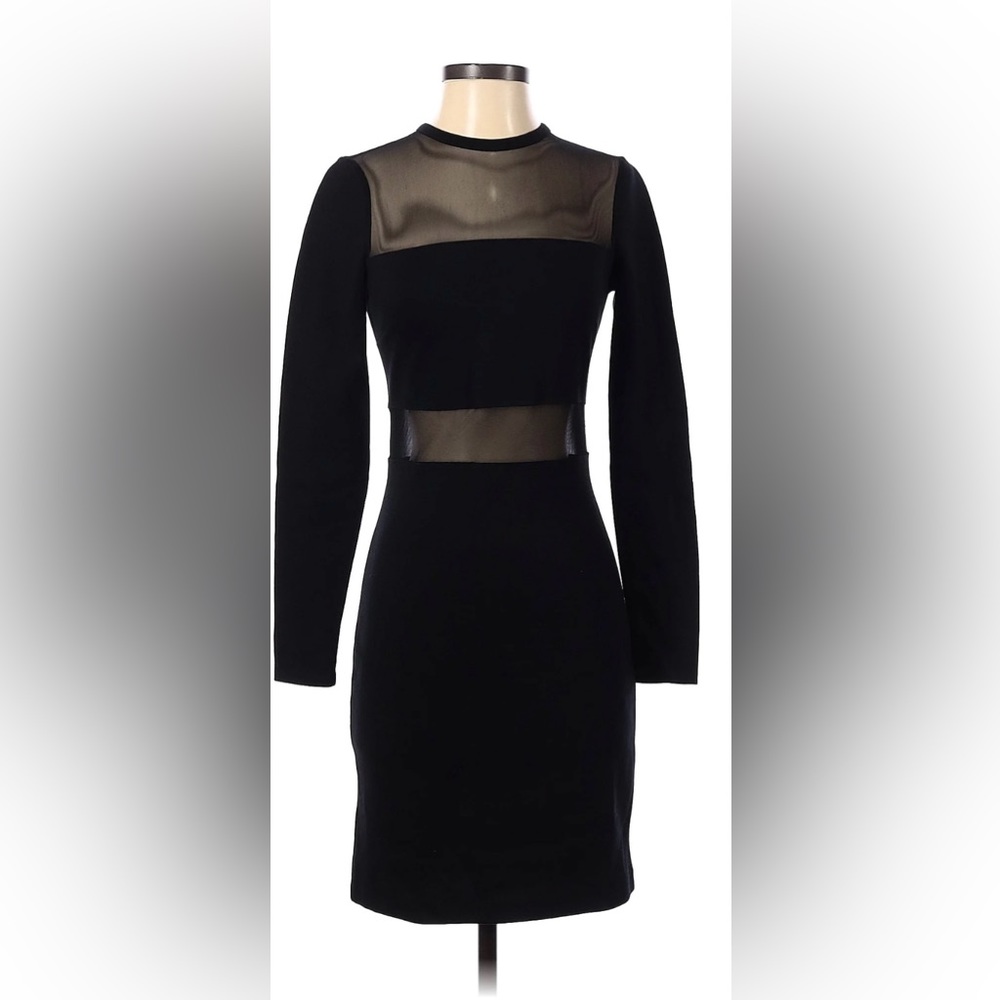 Black Sheer-Panel Long Sleeve Dress